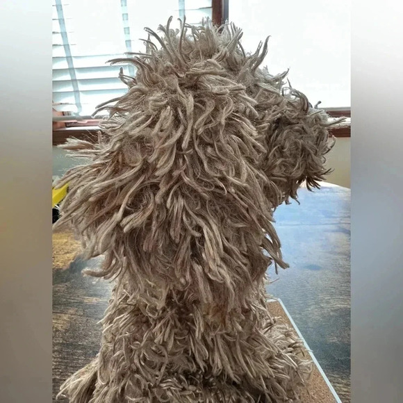 DanDee | Collectors Choice shaggy brown plush dog. - Picture 4 of 11